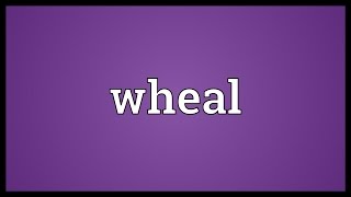 Wheal Meaning [upl. by Fabe]