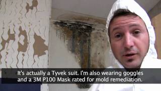 Killing Toxic Black Mold  How to Remove Mold Safely [upl. by Golightly]