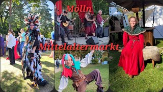 quotUnterwegsquot Musik und Gaukelei im Mittelalter Eulenspiegel Stadt Mölln SchleswigHolstein [upl. by Alyacim]