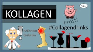 Was ist Kollagen – Wirkung von Kollagenhydrolysat bei Arthrose amp Gelenkschmerzen – Collagen Studien [upl. by Tarra]