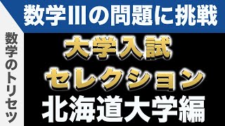 【大学入試数学 良問】数学Ⅲ 北海道大学 解説 数学のトリセツ [upl. by Goat]