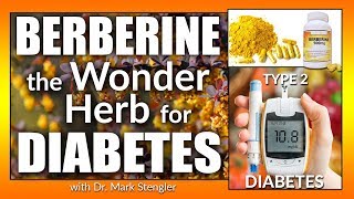 Berberine  The Wonder Herb for Diabetes [upl. by Warwick]