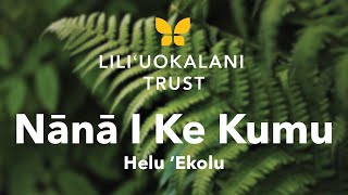 Nānā I Ke Kumu Helu ʻEkolu  Liliʻuokalani Trust [upl. by Huppert]