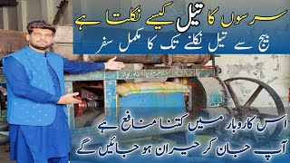 mustard oil manufacturing process in pakistan 😯  sarso ka oil banane ka tarika 🤔  oil benefits [upl. by How728]