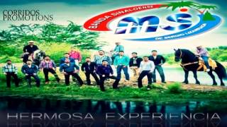 Banda Sinaloense MS de Sergio Lizarraga  Hermosa Experencia Single 2013 [upl. by Akibma482]