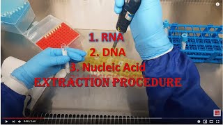 Virus DNA ExtractionVirus RNA Extraction Virus Nucleic acid extraction Procedure [upl. by Iaw266]