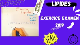 📣5 Les Lipides  EXERCICE EXAMEN 2019 اقوى شرح لللبيدات😍 BIOCHIMIE​​ SNV​ triglycerides [upl. by Annoynek503]