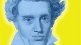 Soren Kierkegaard Various Readings by VARIOUS read by Craig Campbell  Full Audio Book [upl. by Ahsimet]