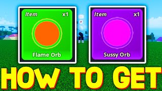 HOW TO GET FLAME amp SUSSY ORB in MEME SEA ROBLOX [upl. by Vinn382]