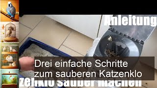 Katzenklo reinigen Schritt für Schritt sauber machen [upl. by Aerbua216]