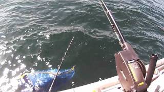 Jigging Brown Trout amp Salmon on Lake Ontario [upl. by Car]