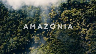 Expedicão Amazônia Teaser  Imersão na Floresta Amazônica  4k [upl. by Rafter960]