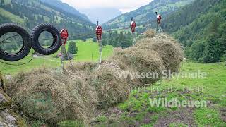 Wyssen Skymule Einsatz beim Wildheuen [upl. by Lurette742]