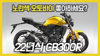 혼다코리아 2022년식 CB300R 정식 출시 [upl. by Cirre]