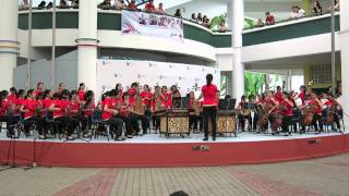 RGS Raffles Girls School 2015  Chinese Orchestra HD [upl. by Ardie]