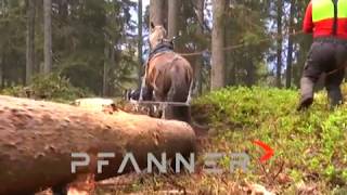 Pfanner Forestry Clip 2019 [upl. by Khan564]