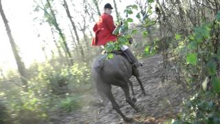 Crawley and Horsham hunt Boxing Day 2013avi [upl. by Hull269]