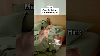 CAT MEMES 🐱Overnight at my boyfriends house catmemes relatable relationship [upl. by Boggs]