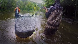 Michigan River Salmon Fishing with Spinners  THEY BITE [upl. by Nilyam56]