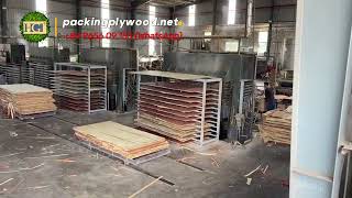 The production process of packing plywood at the HG Plywood factory vietnamplywood [upl. by Ahsemrac729]