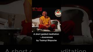 A Short Guided Meditation on Awareness by Tsoknyi Rinpoche [upl. by Hcahsem564]