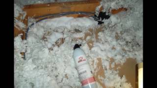 DIY Exterminate Termites w Professional Foam Spray [upl. by Ciccia]