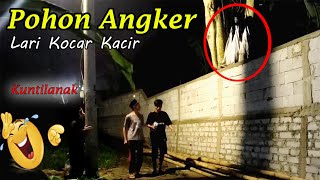 176 ▶️ Kuntilanak Di Pohon Angker 🤣😇 Ngakak [upl. by Eirelav735]