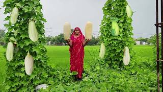 बरसात के मौसम में बनाए हांडी में ककरी की दाल और चावल  Cucumber dal recipe [upl. by Aleedis906]