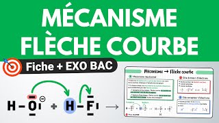 Mécanisme réactionnel amp FLÈCHE COURBE 💚 Révision  EXO BAC  Chimie  Terminale spécialité [upl. by Nysilla]