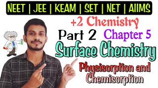 Surface Chemistry  Difference Between Physisorption and Chemisorption [upl. by Aracat]