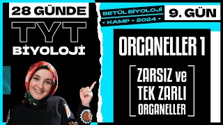 9 Organeller 1  9 Sınıf Biyoloji  2024 TYT Biyoloji Kampı 9 Gün [upl. by Renaldo]