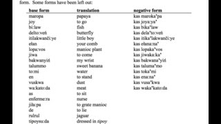 2007 International Linguistics Olympiad  Question 2  IOLing UKLO NACLO Movima [upl. by Traweek831]