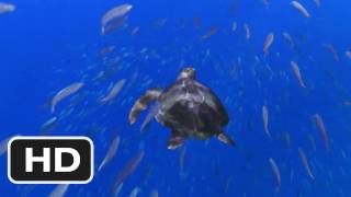 A Turtles Tale Sammys Adventures in 3D Official Trailer [upl. by Aihsenat466]