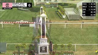 PIMLICO 05 24 2024 RACE 6 [upl. by Lednor]