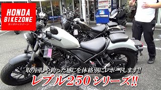 【レブル250シリーズを紹介】背の高い人・低い人がそれぞれ跨った感じなどをお伝えします！（ホンダドリーム相模原）HONDA BIKE ZONE [upl. by Leese]