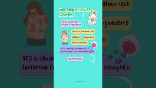 Vancomycin Flushing Syndrome or Redman Syndrome vancomycin antibioticstewardship [upl. by Yk830]