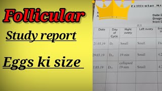 Follicular study report follicular studyfollicular monitoringfollicles size linukunmun [upl. by Josefina]