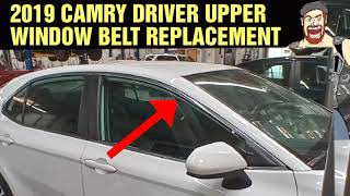 2019 CAMRY UPPER OUTER SILVER WINDOW BELT REPLACEMENT [upl. by Nalad]