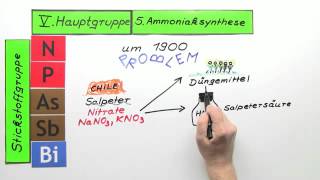 Periodensystem der Elemente V Hauptgruppe 5 Ammoniaksynthese  Chemie [upl. by Kevyn]