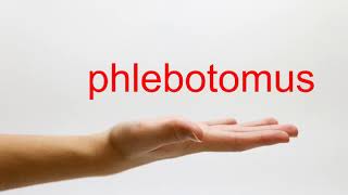 How to Pronounce phlebotomus  American English [upl. by Mayer158]