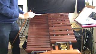 Marimba played with bow [upl. by Ulysses928]