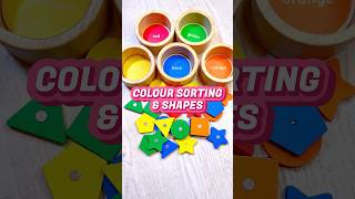 Colour amp Shapes Sorting Game for Toddlers  Educational Activities for Toddlers shorts [upl. by Yruam158]