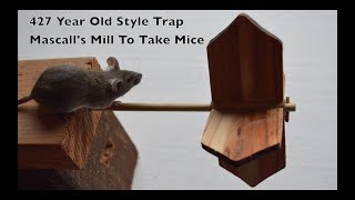 427 Year Old Style Mouse Trap In Action  Mascalls Mill To Take Mice [upl. by Gausman674]