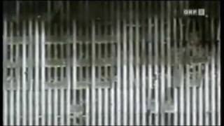 Die Wahrheit über den 11 September 911 im ORF 2Teilflv [upl. by Mcquoid]