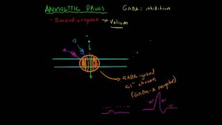 Anxiolytic Medications [upl. by Leakcim450]