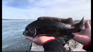 Fishing  Barnegat Lighthouse State Park NJ [upl. by Sudnor315]