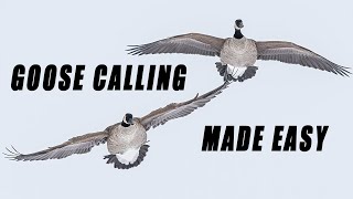 How To GOOSE CALL For Beginners  Goose Calling tips and tricks [upl. by Jessi]