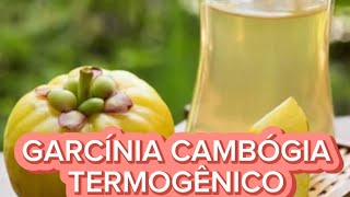 Garcínia cambógia Termogênico  NutriçãoampCia [upl. by Simah]