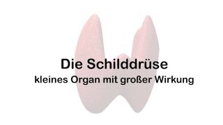 Die Schilddrüse – kleines Organ mit großer Wirkung [upl. by Derwood]