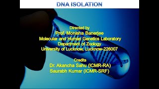 Manual DNA isolation by Salting out method Part 1 [upl. by Elenahc]